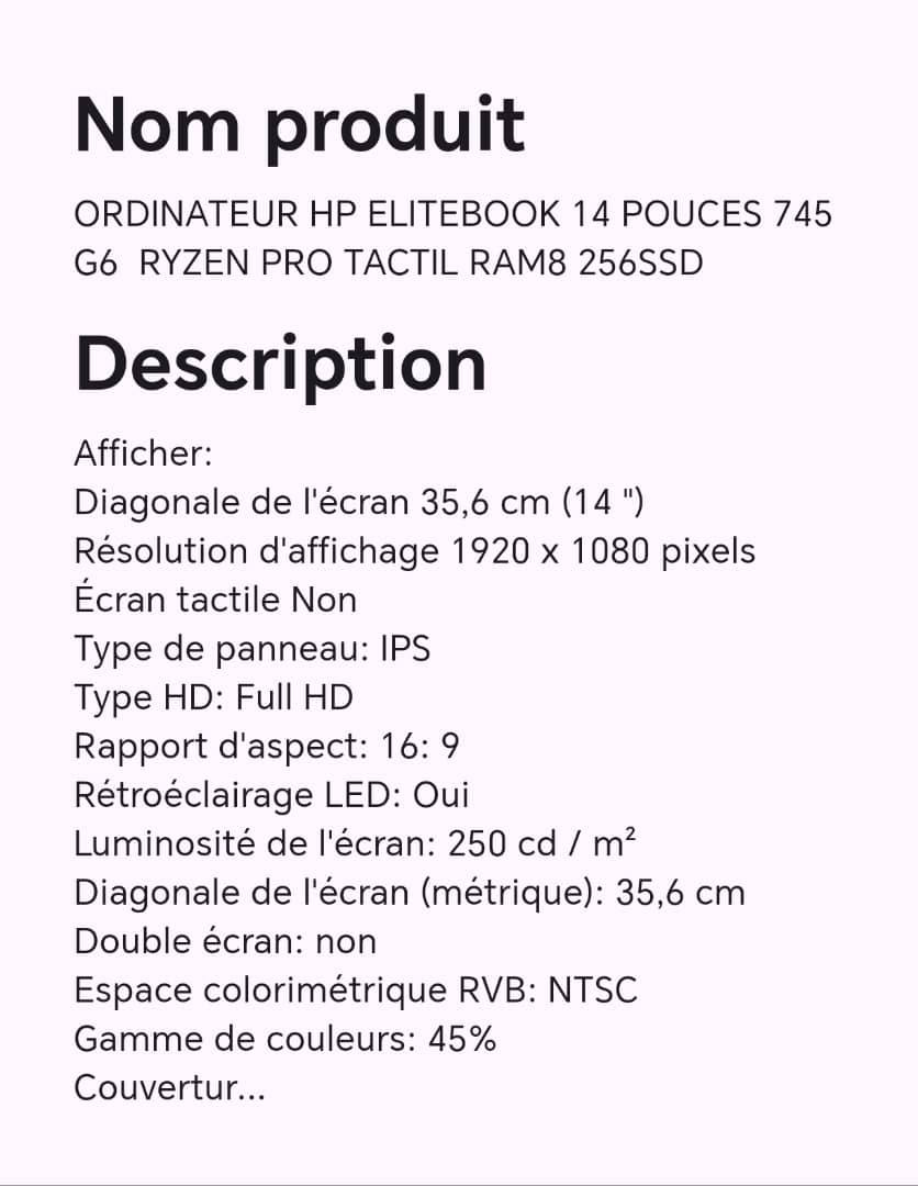 ORDINATEUR HP ELITEBOOK 14 POUCES 745 G6 RYZEN PRO TACTIL RAM8 256SSD ORDINATEUR HP ELITEBOOK 14 POUCES 745 G6 RYZEN PRO TACTIL RAM8 256SSD
