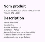 PLAQUE TECHNOLUX ENCASTRABLE 5FEUX 70X60 A GAZ LB031 PLAQUE TECHNOLUX ENCASTRABLE 5FEUX 70X60 A GAZ LB031