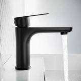Robinet de lavabo en acier inoxydable - Robinet d'eau chaude et froide - noir