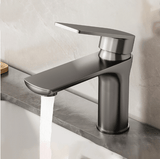Robinet Salle de bain et cuisine, Acier inoxydable, Style contemporain, Poignée à levier, Bâti col de cygne à arc élevé