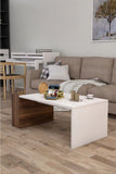 Table Basse Marron Blanc