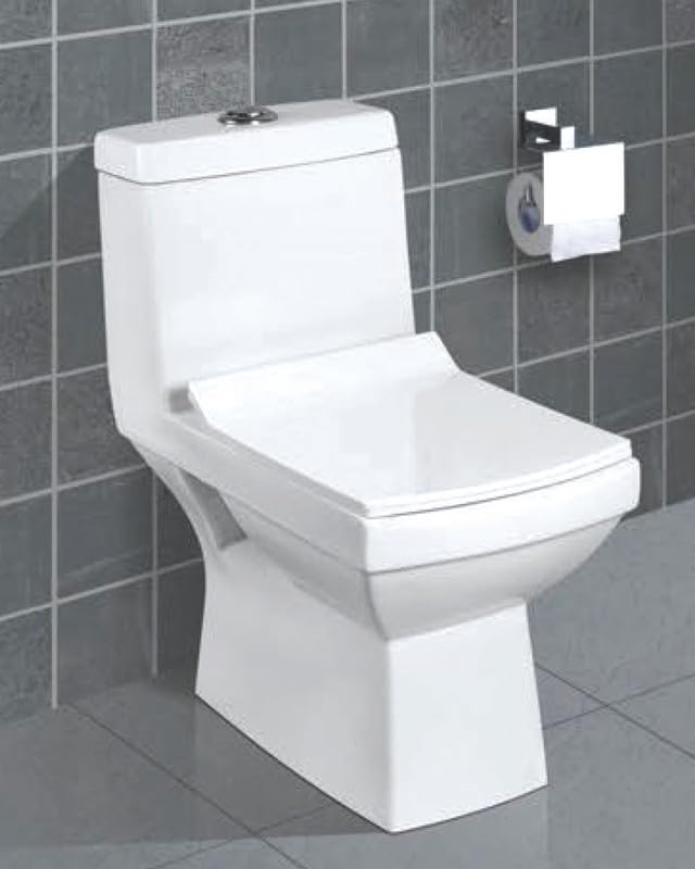 Chaise Anglaise Siège de toilette monobloc