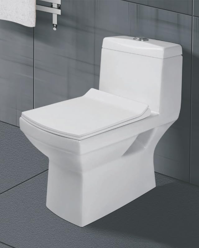 Chaise Anglaise Siège de toilette monobloc