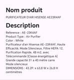 PURIFICATEUR D'AIR HISENSE AE23R4AF