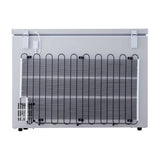 CONGELATEUR LG HORIZONTAL 300LITRES GRIS GCS315SQFG