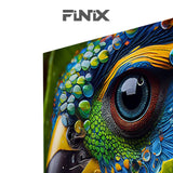 Téléviseur FINIX 43" smart ANDROID FNX43SM