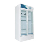 Réfrigérateur SOLSTAR 2portes vitrine vertical VC6500