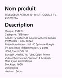 TELEVISEUR ASTECH 43" SMART GOOGLE TV 43GT3022A