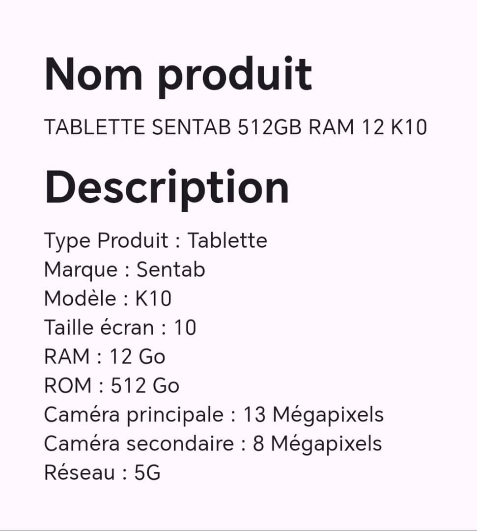 Tablette SENTAB 512GB RAM 12 K10