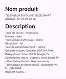 TELEVISEUR EVVOLI 55" OLED SMART GOOGLE TV 55EV9-OLED