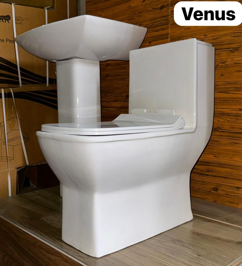 Ensemble Lavabo + Chaise Anglaise Venus