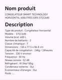 CONGELATEUR SMART TECHNOLOGY HORIZONTAL 600LITRES GRIS STCC640
