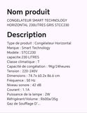 CONGELATEUR SMART TECHNOLOGY HORIZONTAL 230LITRES GRIS STCC230