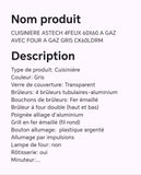 CUISINIERE ASTECH 4FEUX 60X60 A GAZ AVEC FOUR A GAZ GRIS CK60LDRM