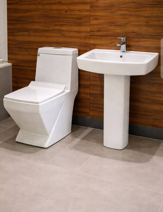 Chaise anglaise + Lavabo