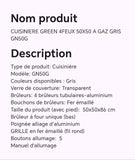 CUISINIERE GREEN 4FEUX 50X50 A GAZ GRIS GN50G